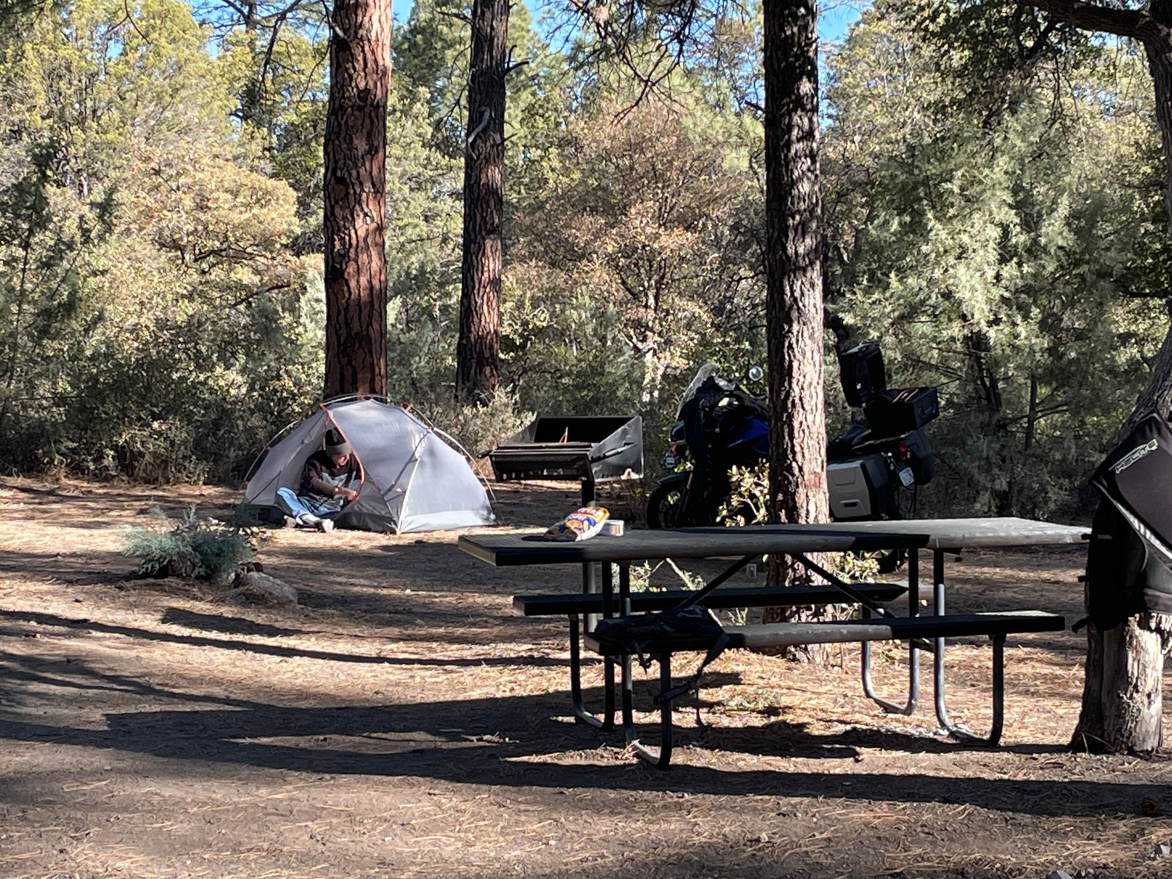 Jonathan's photo at Black Jack Campground near Cliff, NM
