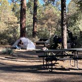 Review photo of Black Jack Campground by Jonathan , March 31, 2021