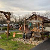 Review photo of Buddy Bear In The Smokies Campground by Stacey A., March 31, 2021