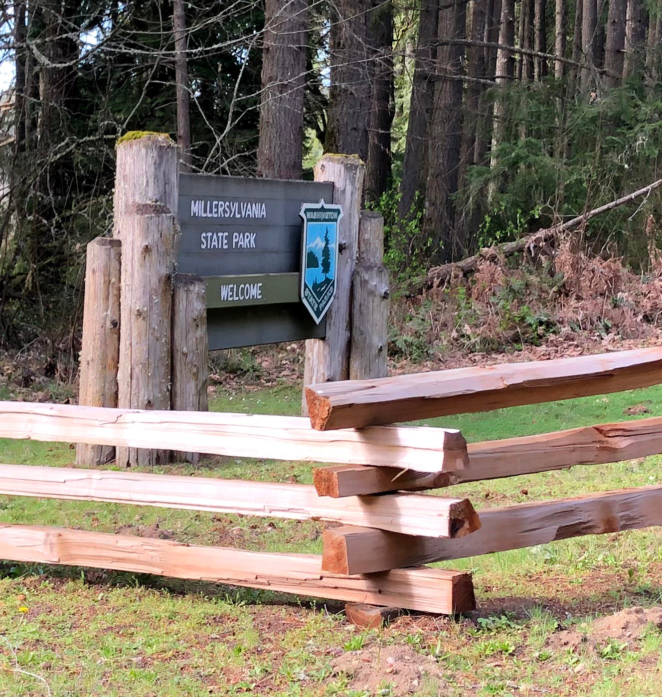 Camper-submitted photo at Millersylvania State Park Campground near Orting, WA