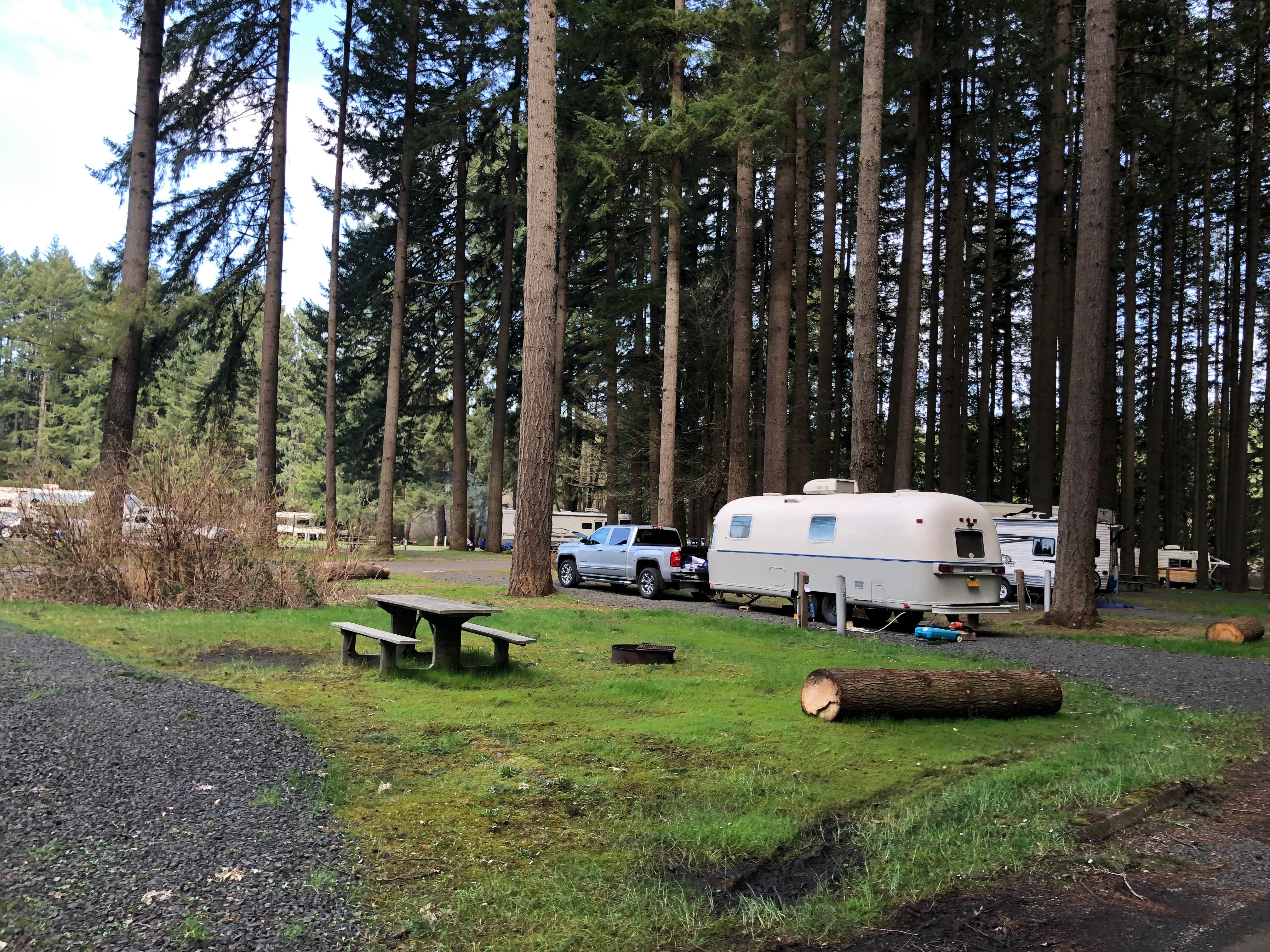 Brian C.'s photo at Millersylvania State Park Campground near Littlerock, WA