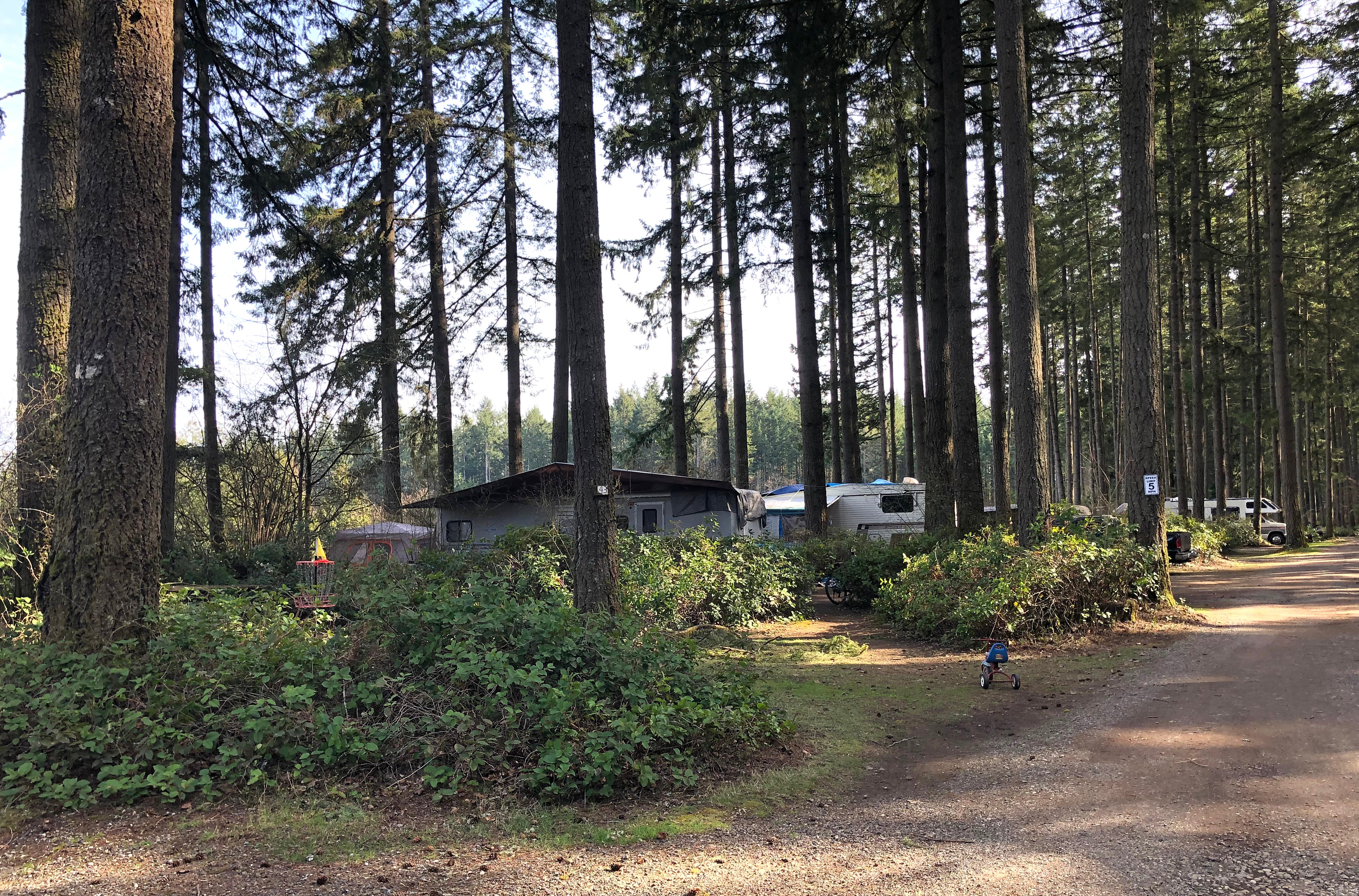Camper submitted image from Olympia Campground - 1