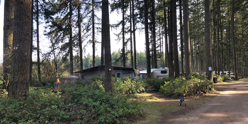 Camper submitted image from Olympia Campground