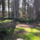 Review photo of Olympia Campground by Brian C., March 31, 2021