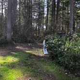 Review photo of Olympia Campground by Brian C., March 31, 2021