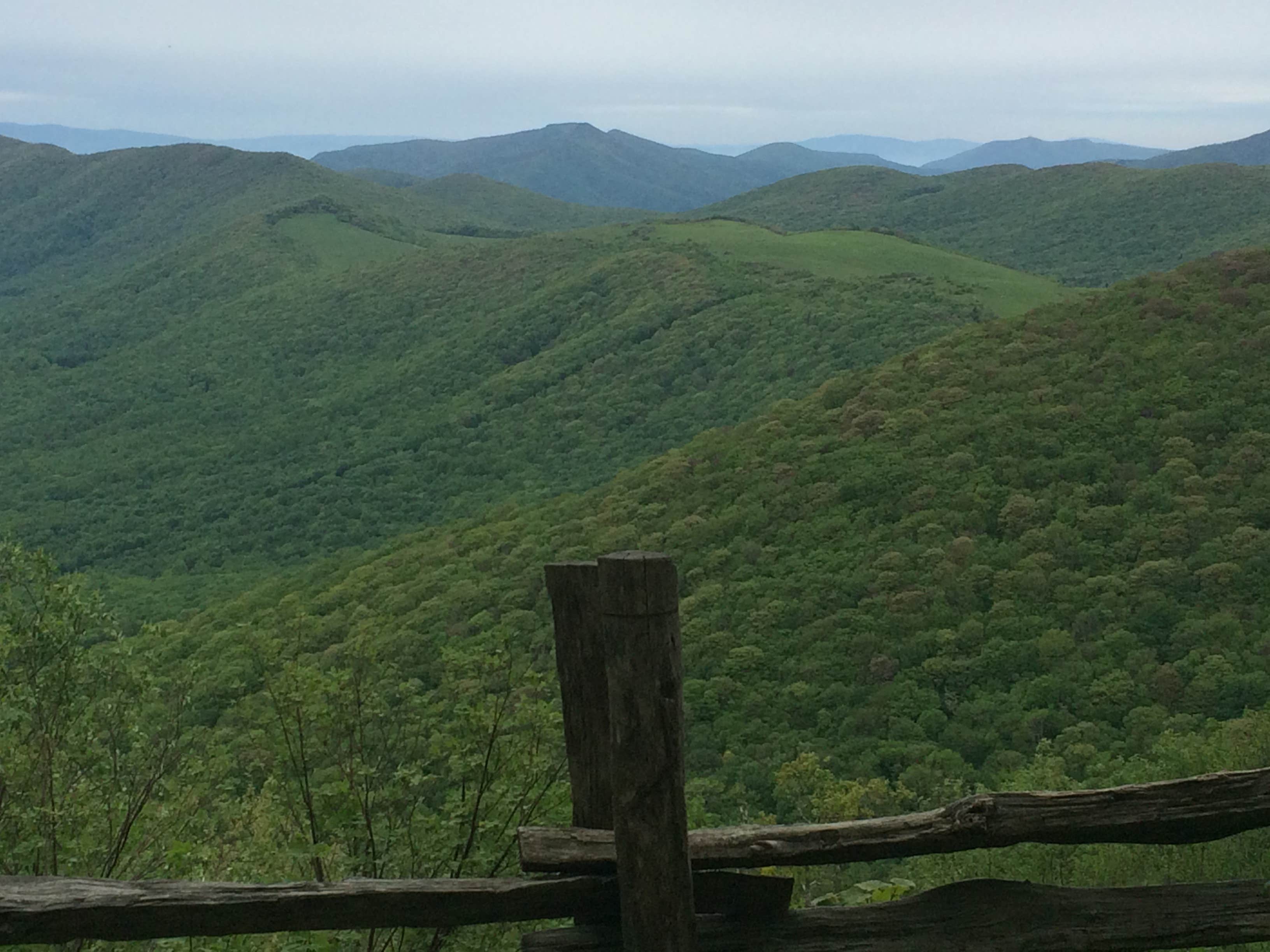 Camper-submitted photo at Elk Knob State Park Campground near Glade Spring, VA