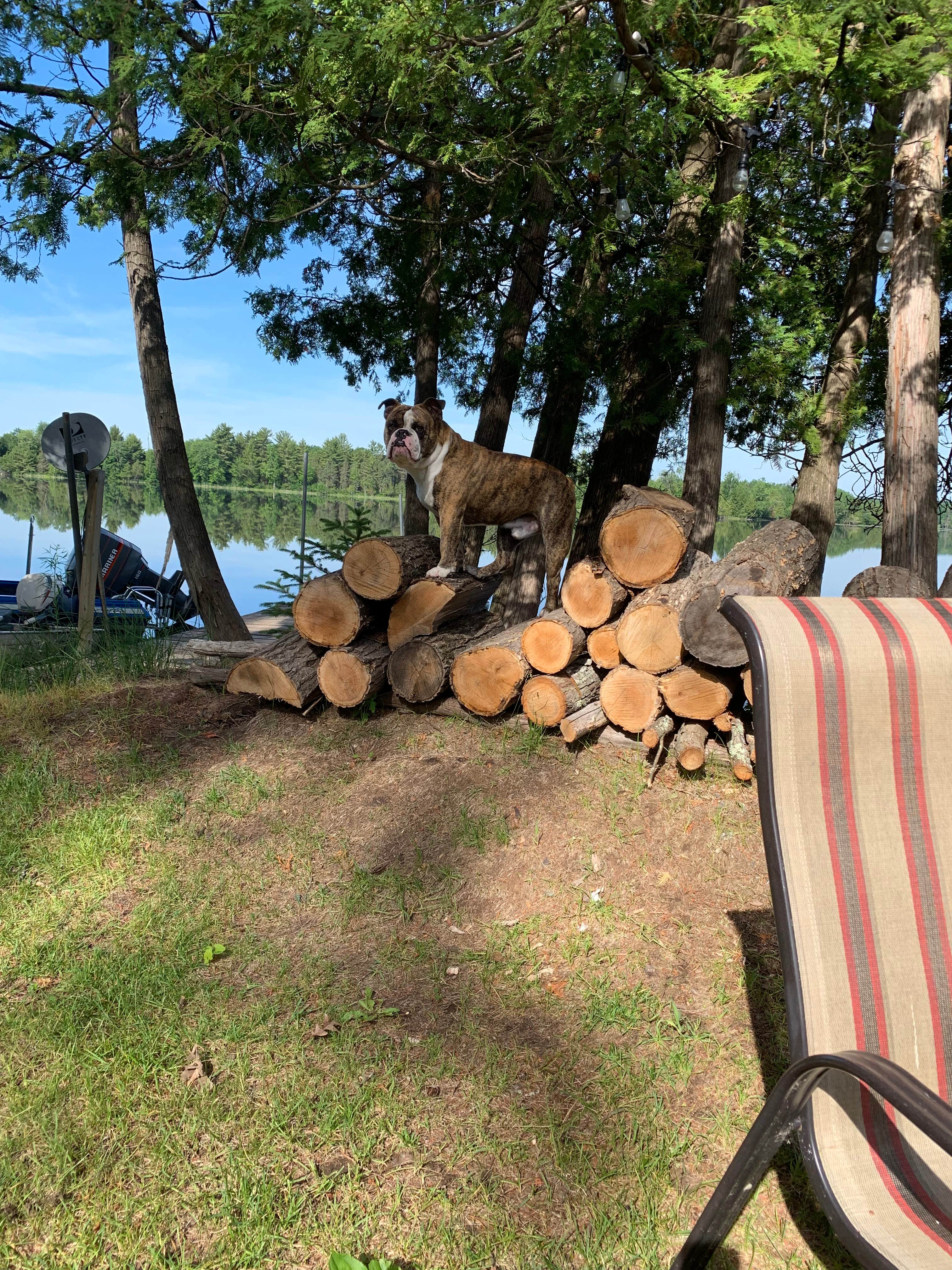 Camper-submitted photo at Tranquil~Vista Campground near Amberg, WI