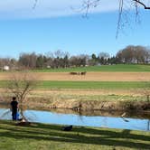 Review photo of Old Mill Stream Campground by Ray L., March 31, 2021