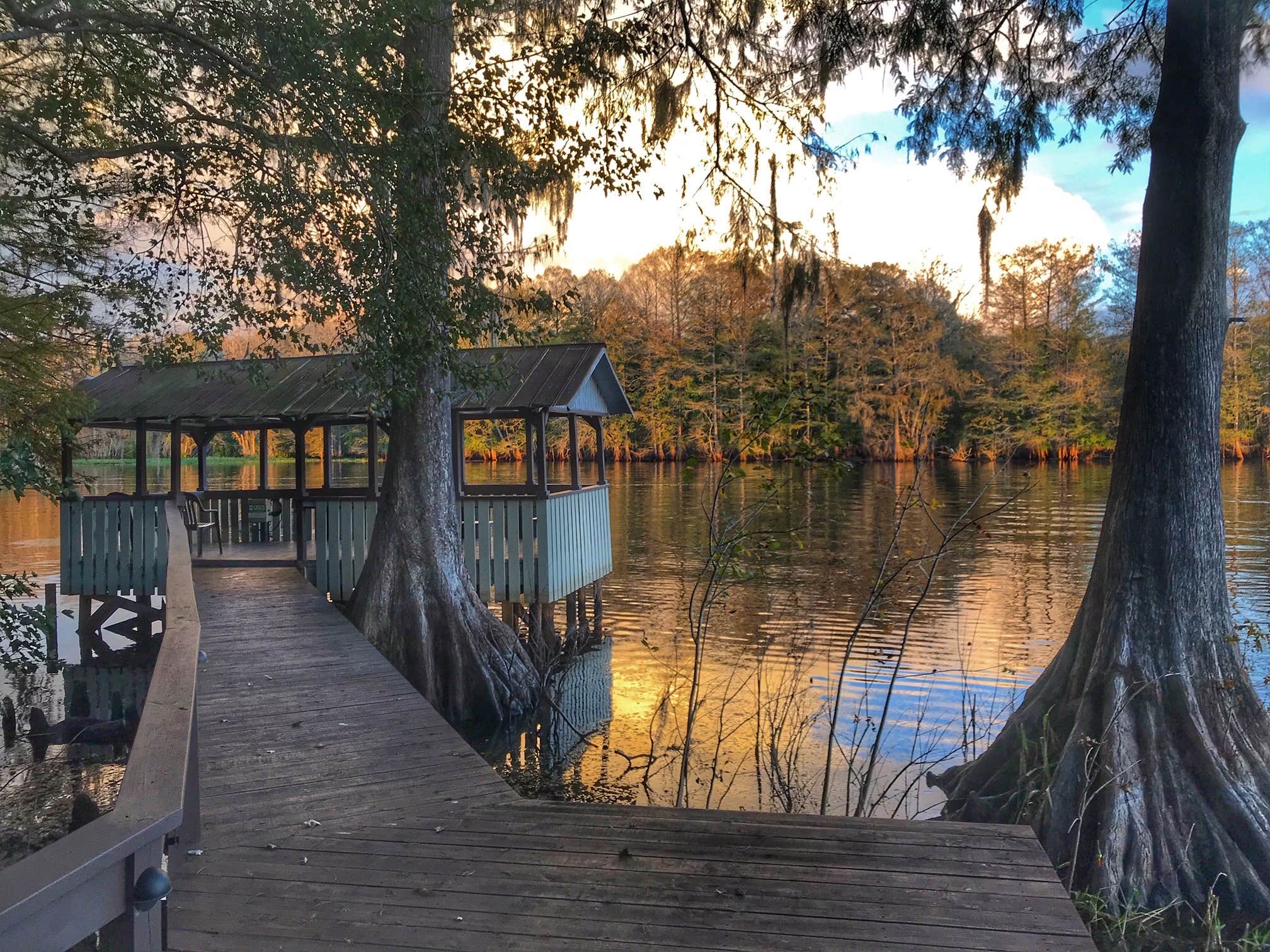 Camper-submitted photo at Trails End RV Park near Lake Panasoffkee, FL