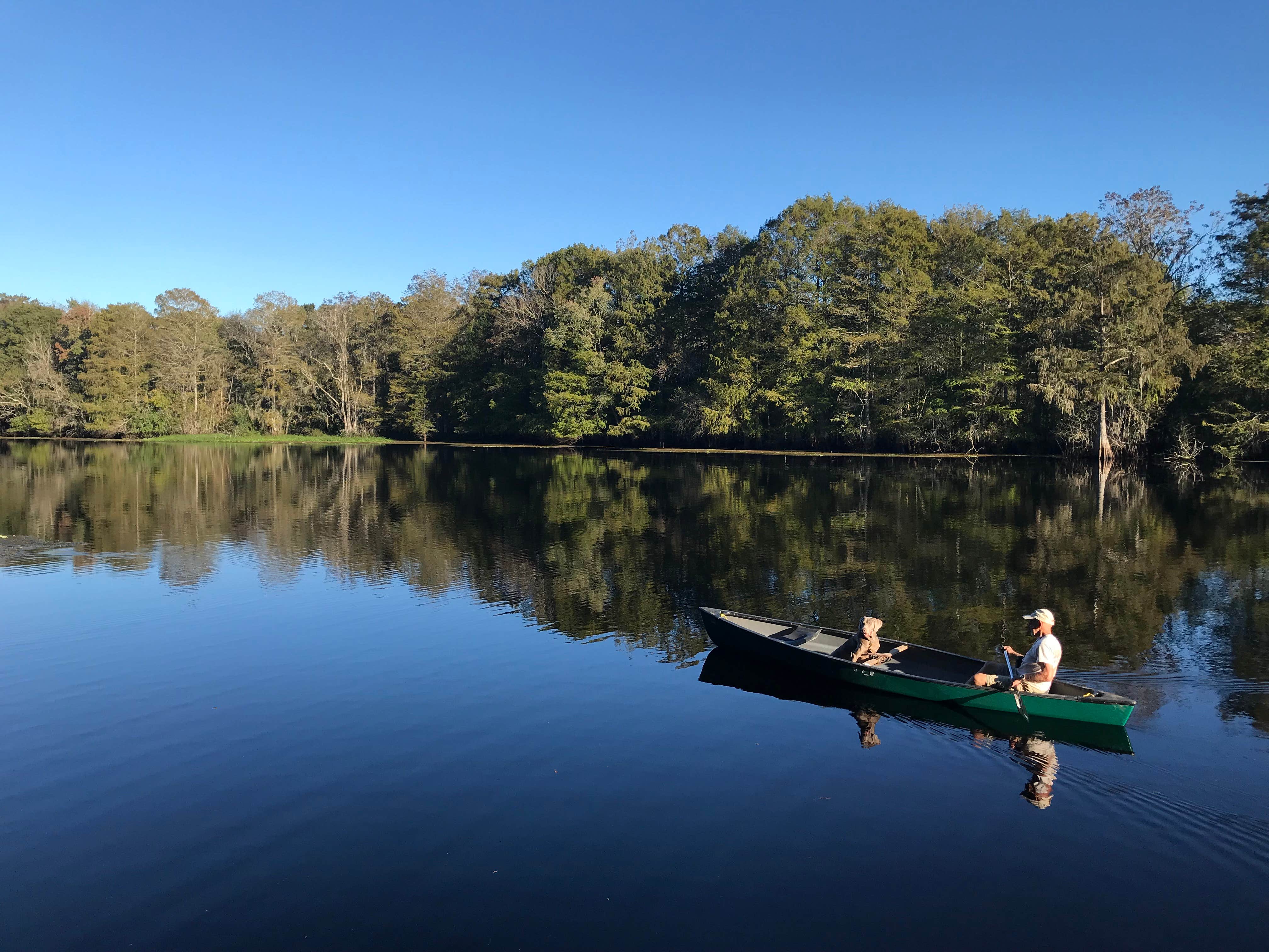 Camper-submitted photo at Trails End RV Park near Lake Panasoffkee, FL