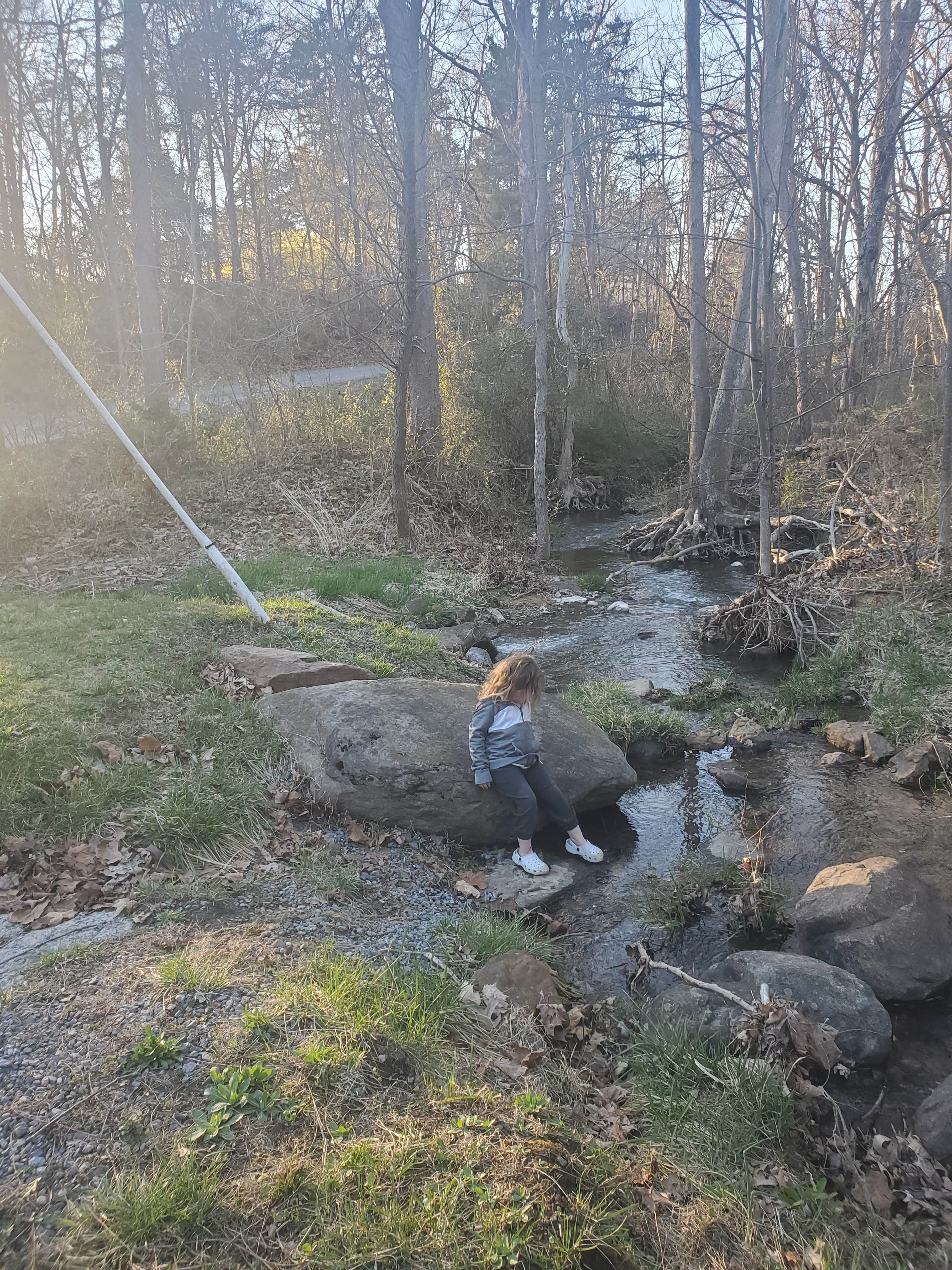 Camper-submitted photo at Harrisonburg - Shenandoah Valley KOA near Seneca Rocks, WV