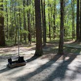 Review photo of Caddo Lake State Park Campground by Kimberly G., March 31, 2021