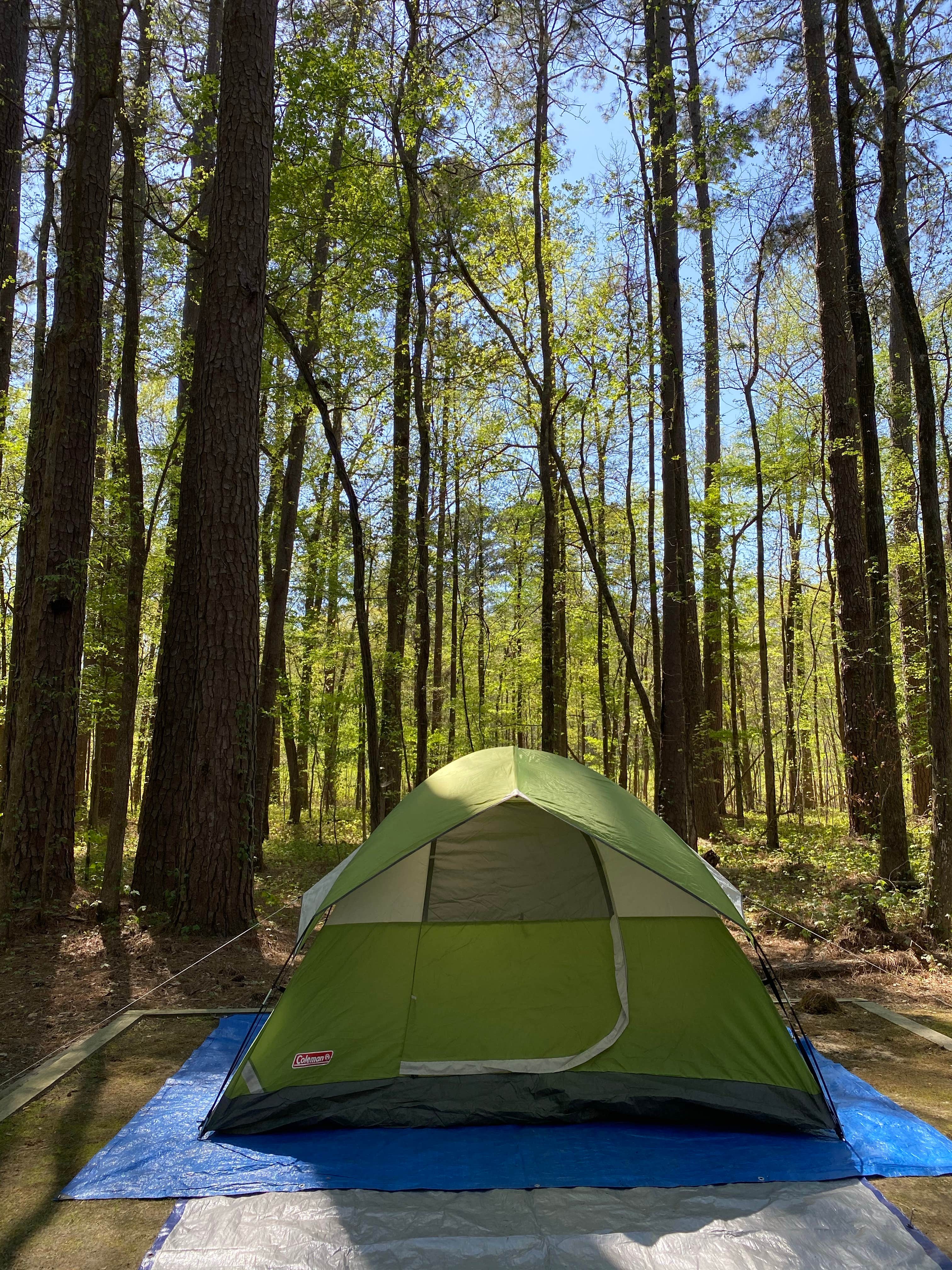 Kimberly G.'s photo at Caddo Lake State Park Campground near Elm Grove, LA