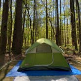 Review photo of Caddo Lake State Park Campground by Kimberly G., March 31, 2021