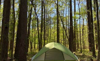 Kimberly G.'s photo at Caddo Lake State Park Campground near Shreveport, LA