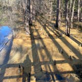 Review photo of Caddo Lake State Park Campground by Kimberly G., March 31, 2021