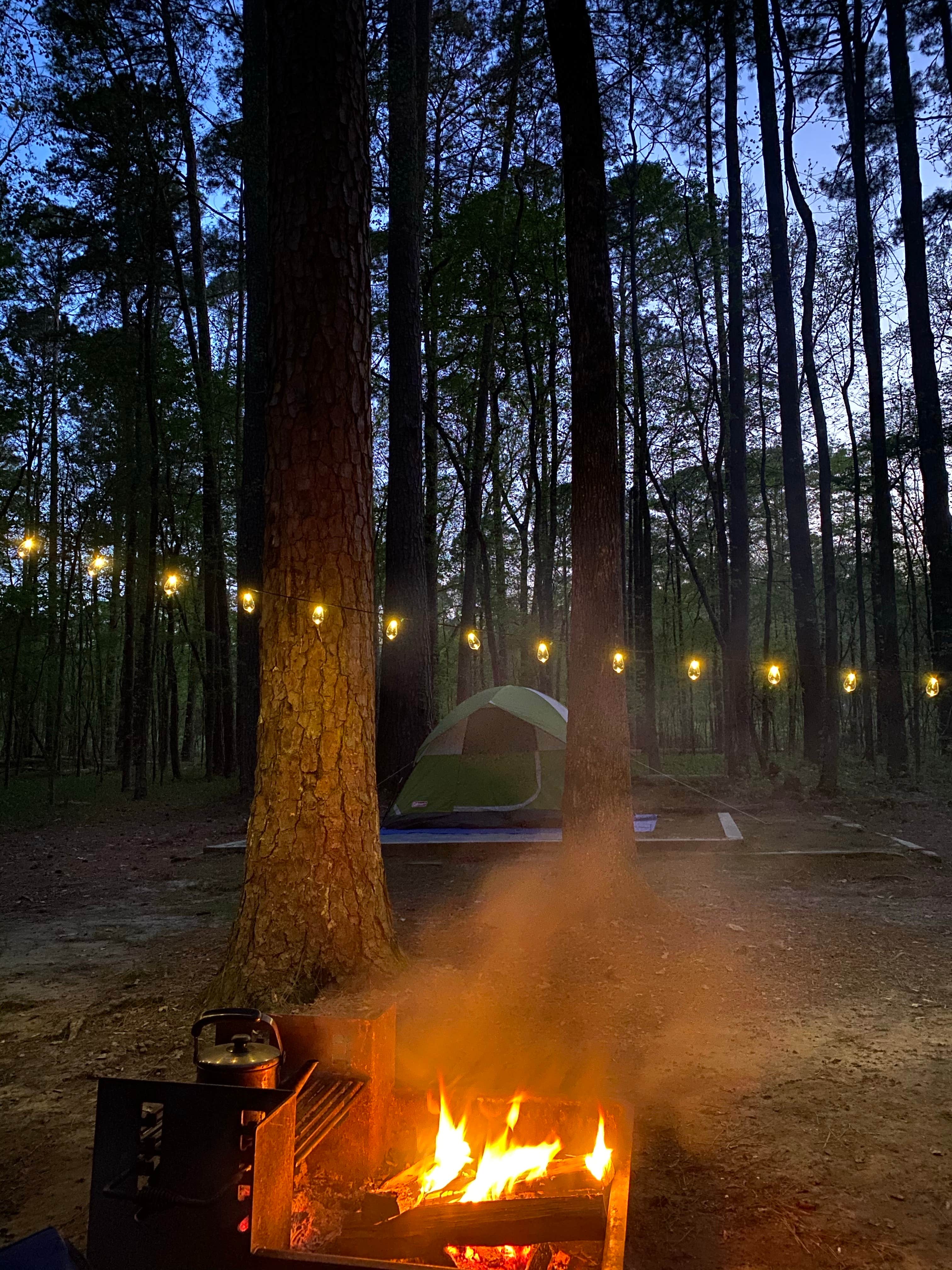 Kimberly G.'s photo at Caddo Lake State Park Campground near Blanchard, LA