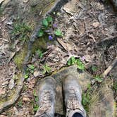 Review photo of Caddo Lake State Park Campground by Kimberly G., March 31, 2021