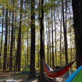 Review photo of Caddo Lake State Park Campground by Kimberly G., March 31, 2021