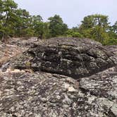 Review photo of Petit Jean State Park — Petit Jean State Park by Lee D., March 31, 2021