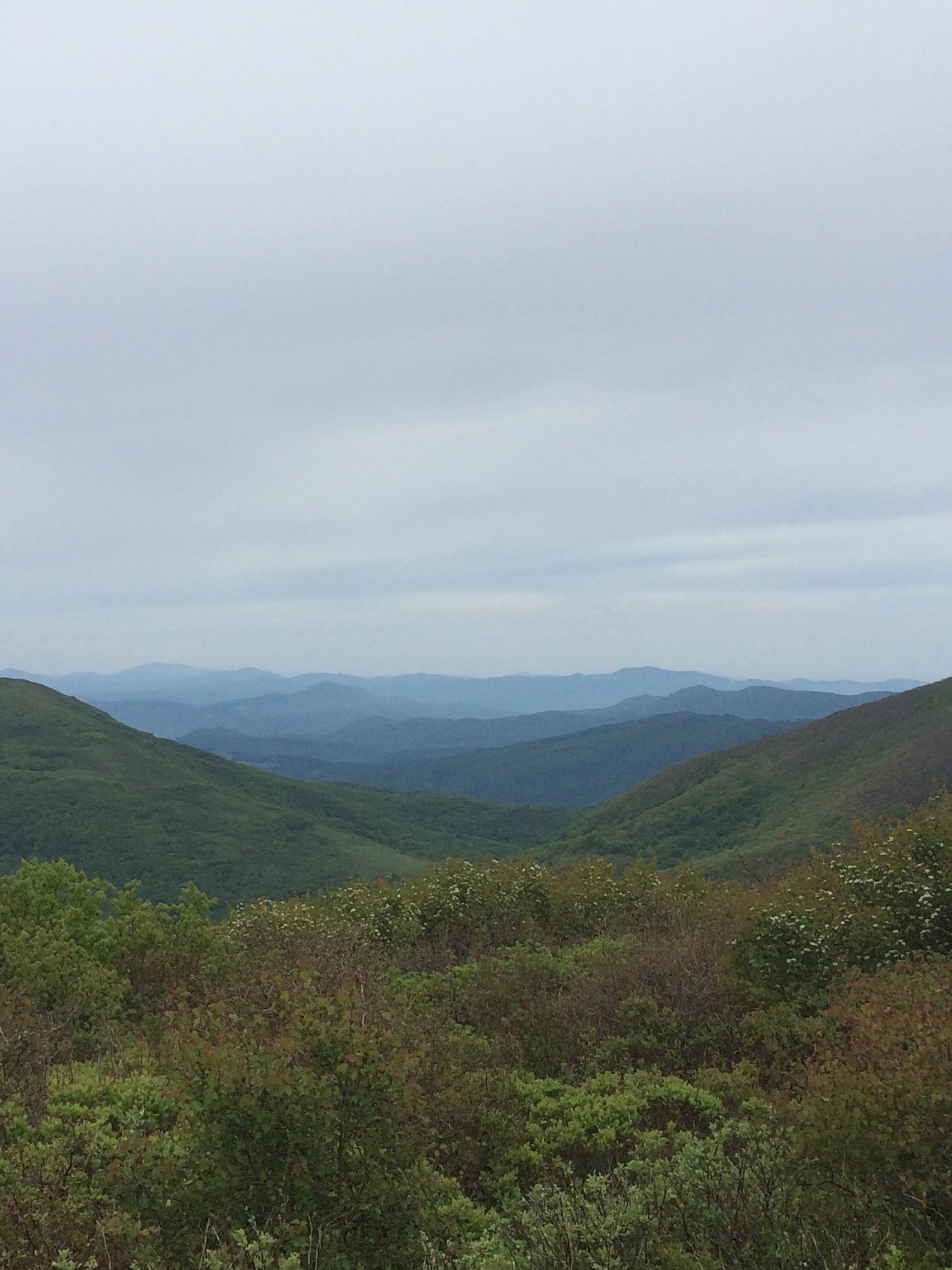 Camper submitted image from Elk Knob State Park Campground - 2
