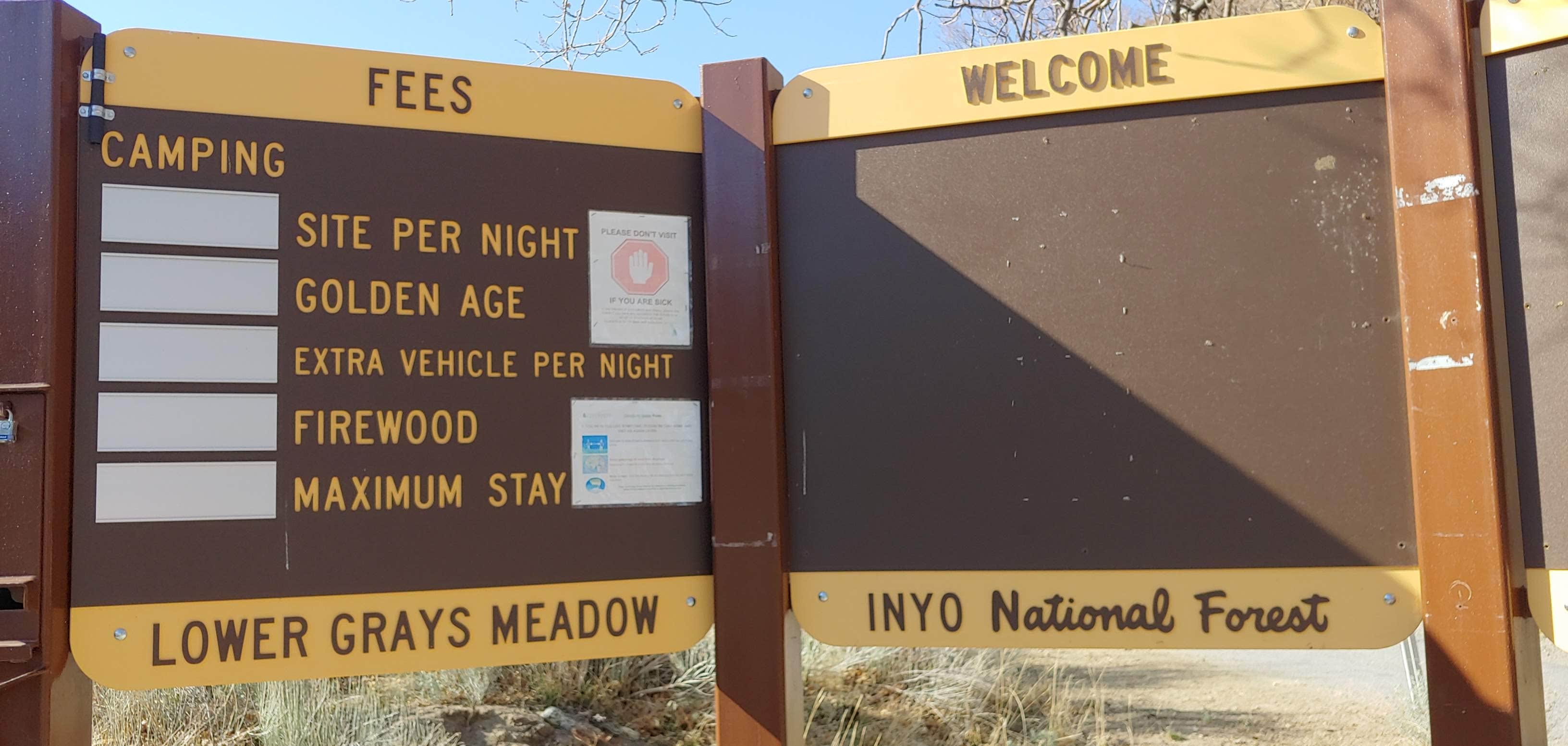 Camping near Jennie Lakes Wilderness Backcountry — Kings Canyon National Park: Inyo / Lower Grays Meadow Campground, Seven Pines, California