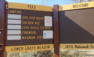 Camping near Symmes Creek: Inyo / Lower Grays Meadow Campground, Seven Pines, California