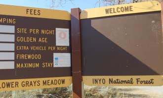 Camping near Symmes Creek: Inyo / Lower Grays Meadow Campground, Seven Pines, California