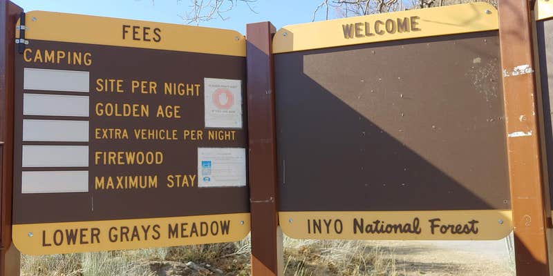 Camper submitted image from Inyo / Lower Grays Meadow Campground