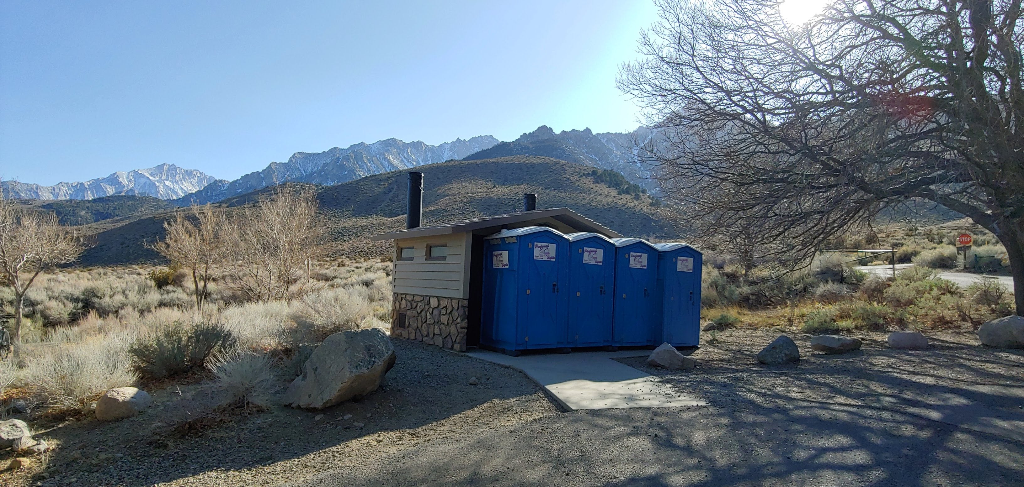 Camper submitted image from Inyo / Lower Grays Meadow Campground - 4