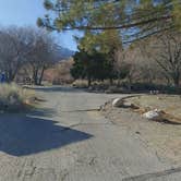 Review photo of Inyo / Lower Grays Meadow Campground by Laura M., March 31, 2021