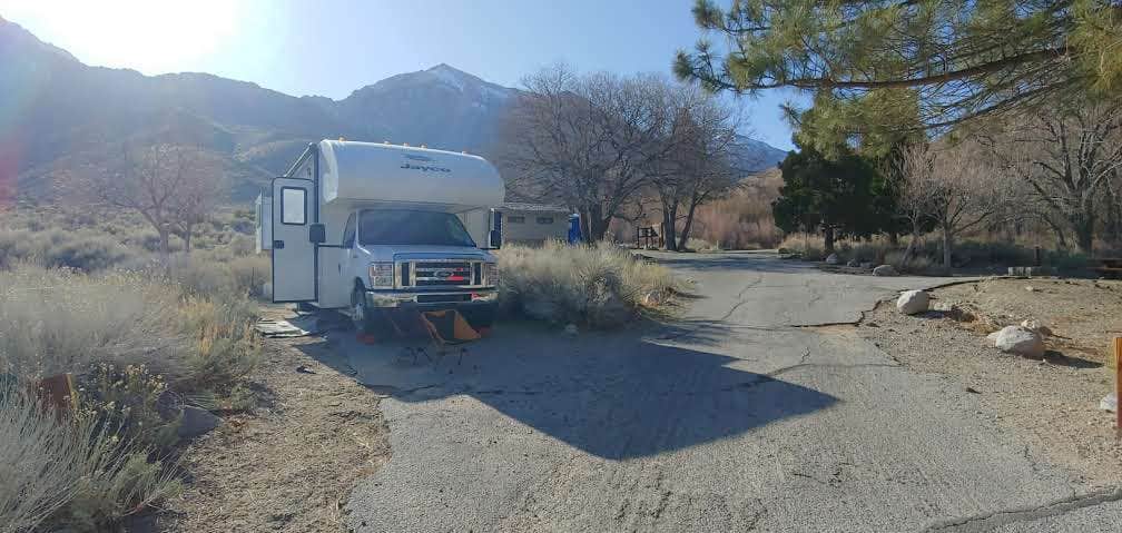 Camper submitted image from Inyo / Lower Grays Meadow Campground - 3