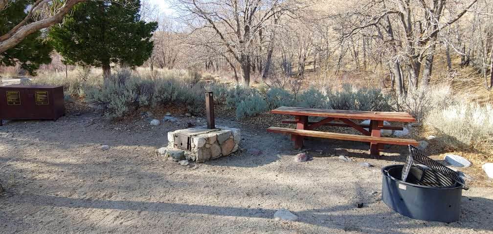 Camper submitted image from Inyo / Lower Grays Meadow Campground - 2