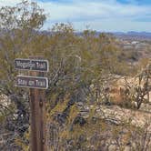 Review photo of Leasburg Dam State Park by Brett H., March 31, 2021