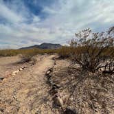 Review photo of Leasburg Dam State Park by Brett H., March 31, 2021