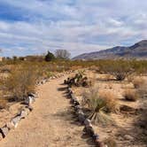 Review photo of Leasburg Dam State Park by Brett H., March 31, 2021