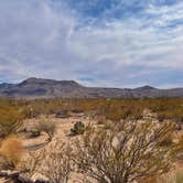 Review photo of Leasburg Dam State Park by Brett H., March 31, 2021