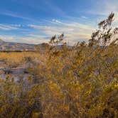 Review photo of Leasburg Dam State Park by Brett H., March 31, 2021