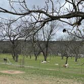 Review photo of Johnson Creek RV Resort & Park by OurEpicFieldTrip  ., March 29, 2021