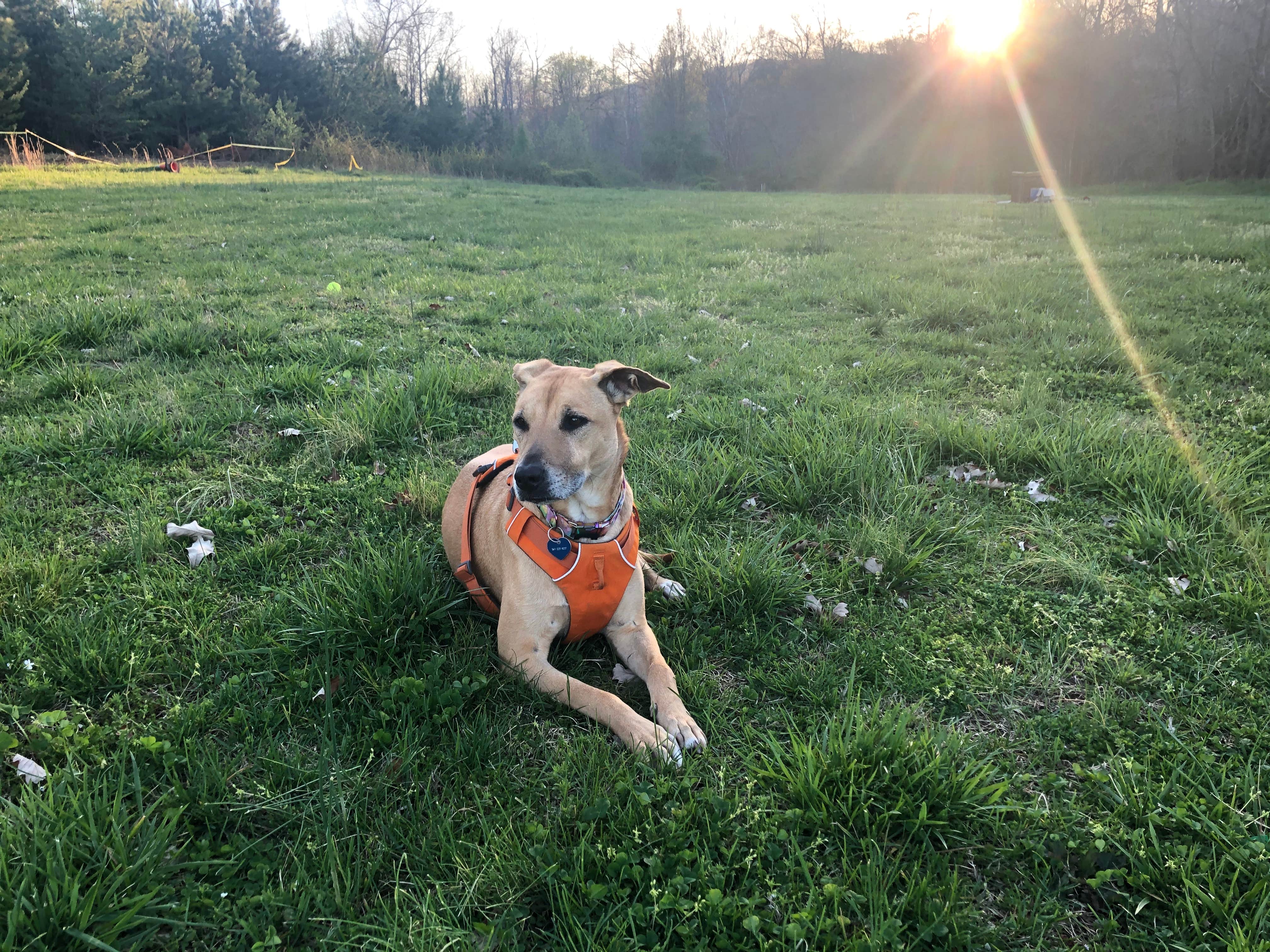 Camper-submitted photo at Cherohala Mountain Trails Campground near Athens, TN
