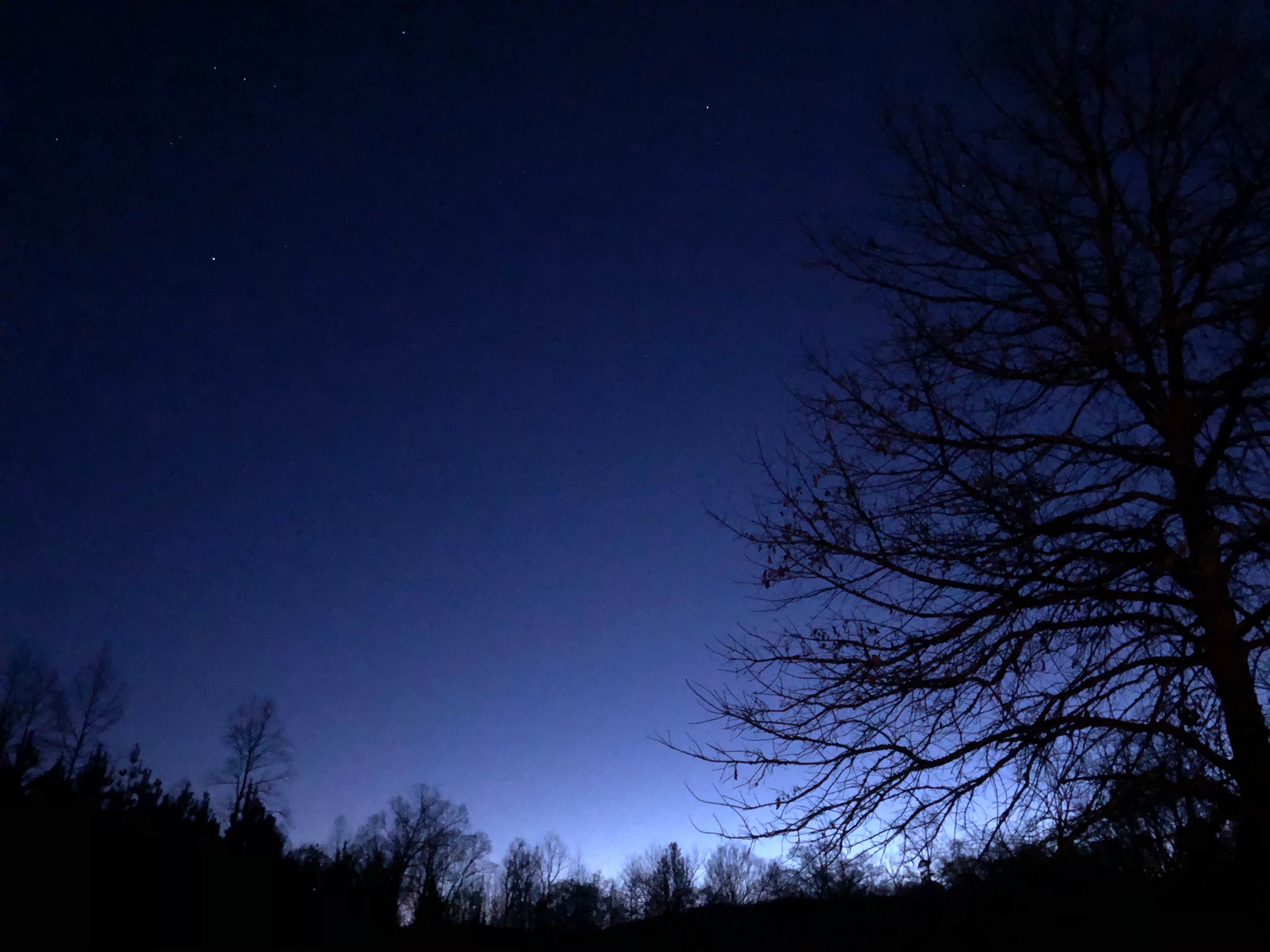 Camper submitted image from Cherohala Mountain Trails Campground - 2