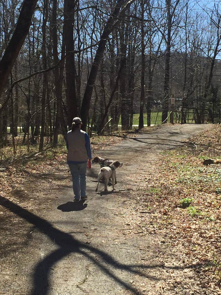 MickandKarla W.'s photo of camping with pets at Douthat State Park Campground near George Washington & Jefferson National Forests