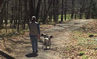 MickandKarla W.'s photo of camping with pets at Douthat State Park Campground in Virginia