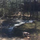 Review photo of Douthat State Park Campground by MickandKarla W., March 31, 2021