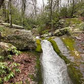 Review photo of Douthat State Park Campground by MickandKarla W., March 31, 2021