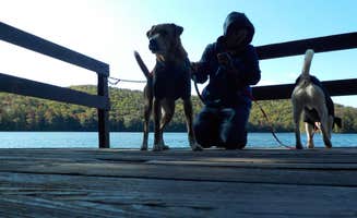 Sarah C.'s photo of camping with pets at Russell Pond Campground near Plymouth, NH