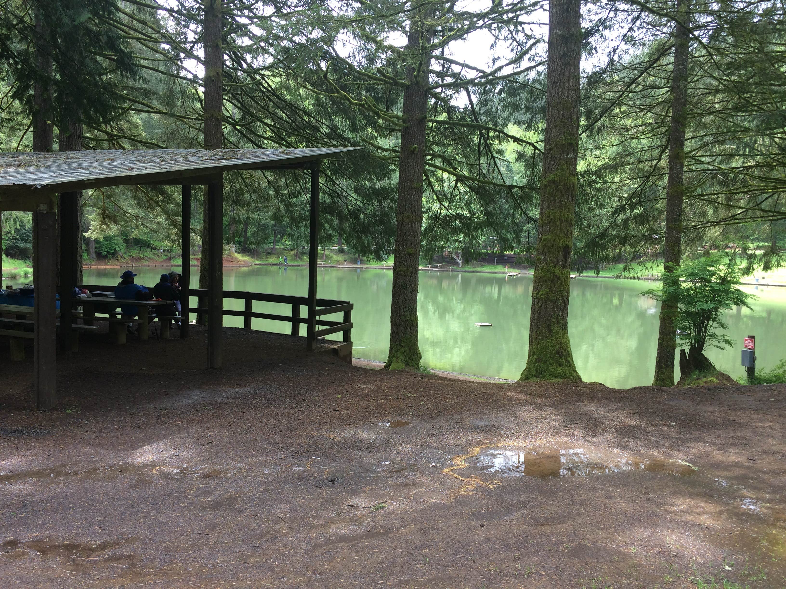 Camper submitted image from Horning's Hideout - 4