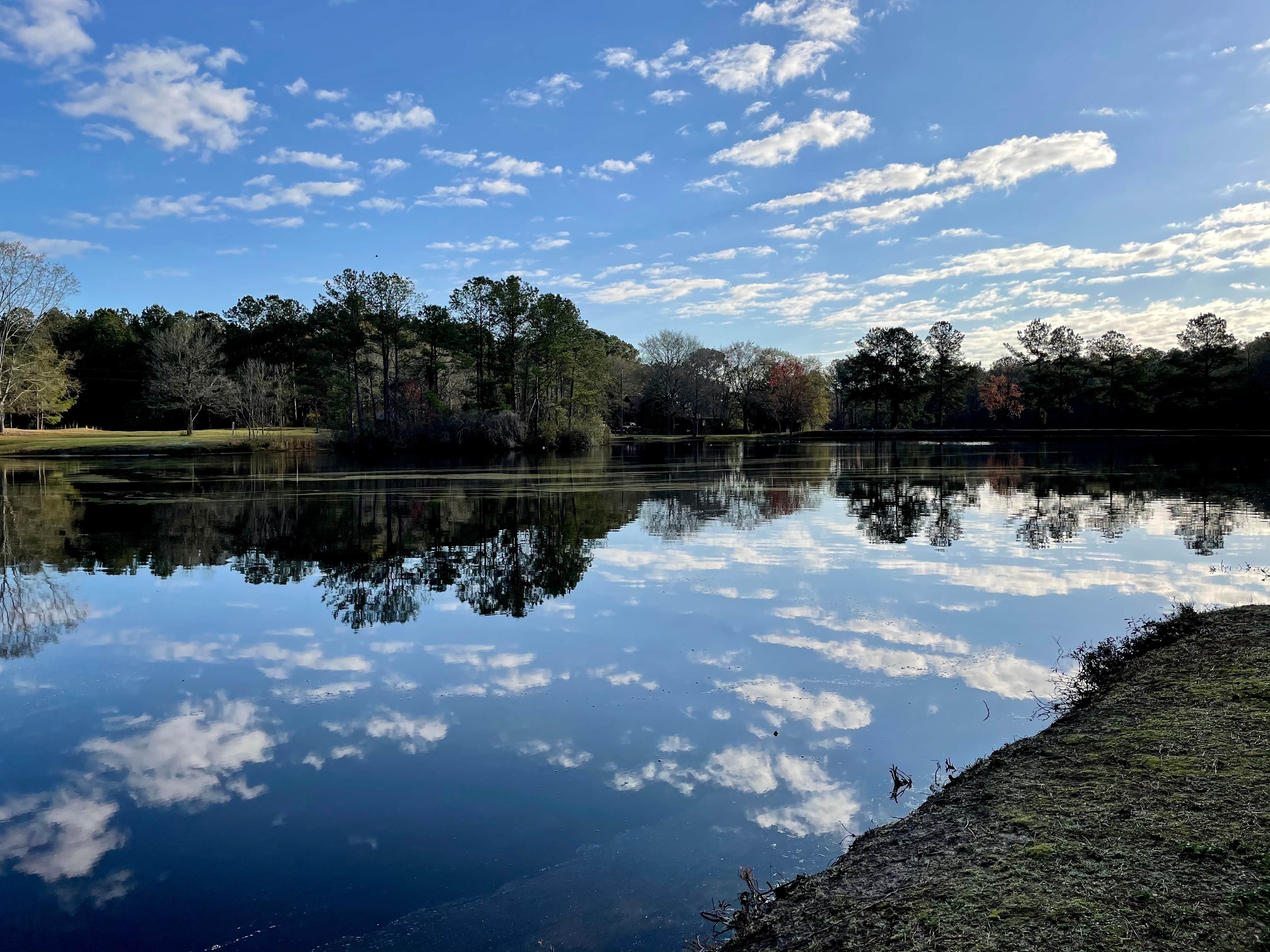 Camper submitted image from Whipoorwill Campground - 2