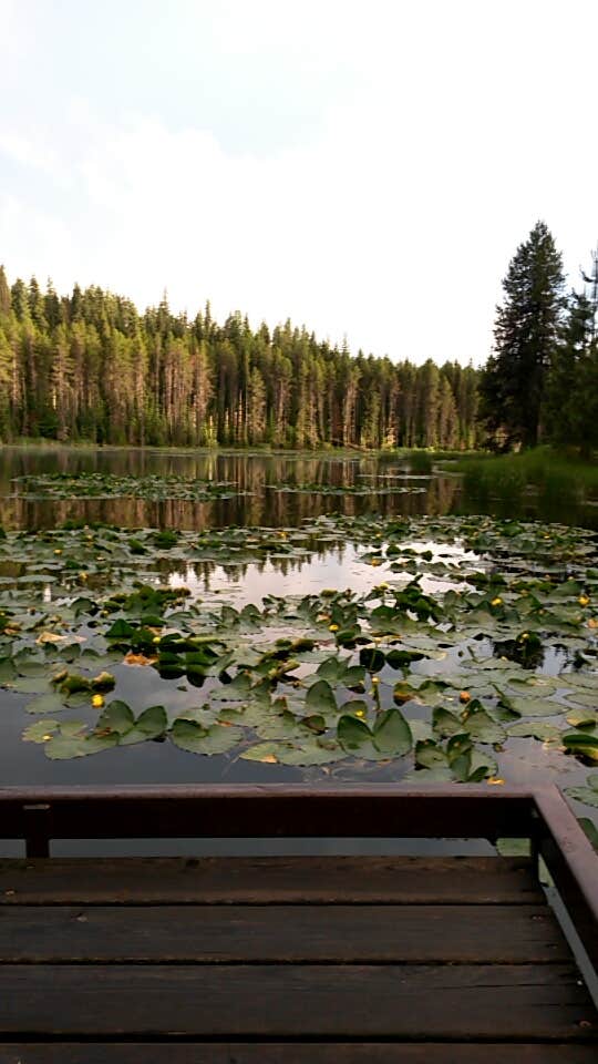 Camper submitted image from Moose Creek Reservoir Access - 3