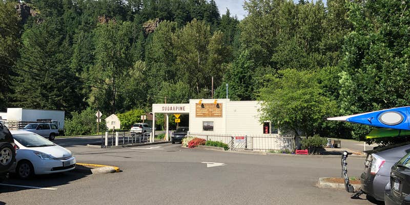 Camper submitted image from Sandy Riverfront RV Resort